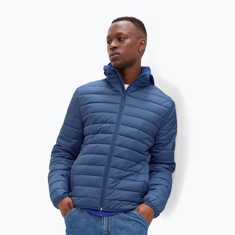 Vyriška striukė GAP V-Frch Logo LTWT Puffer