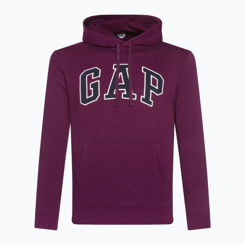 Vyriškas džemperis GAP V-Heritage Logo PO SNL beach plum 2