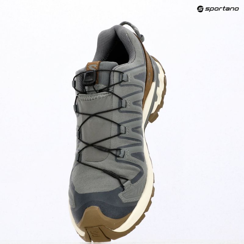 Vyriški bėgimo batai Salomon XA Pro 3D V9 GTX Lifelong sedona sage/coyote brown 16