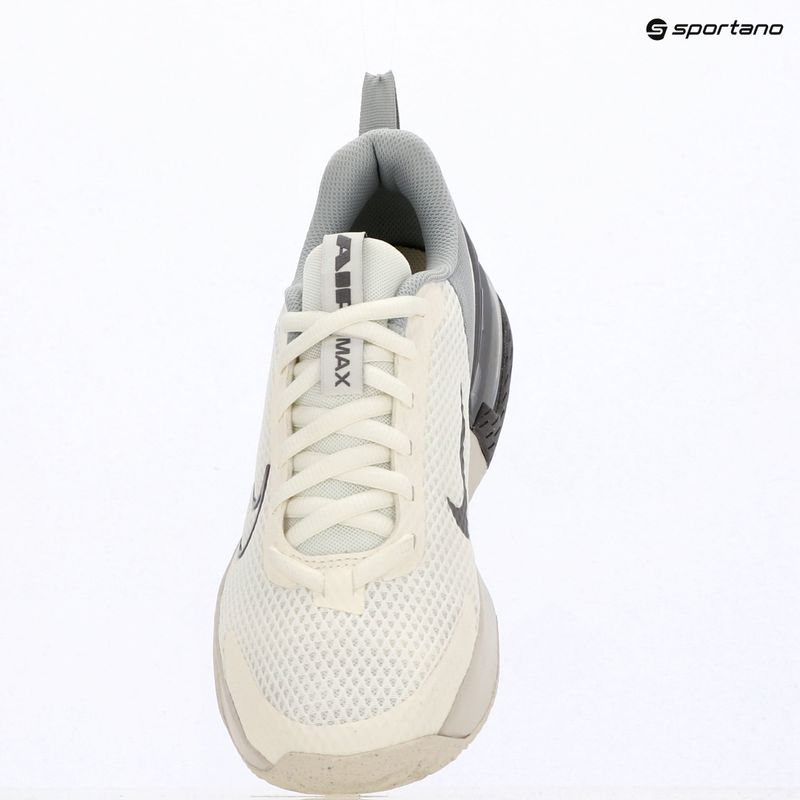 Vyriški treniruočių batai Nike Air Max Alpha Trainer 6 sail/light smoke grey/phantom/pencil point 5