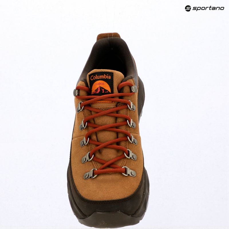 Vyriški žygio batai Columbia Newton Alpine Low grizzly bear/red oxide 15