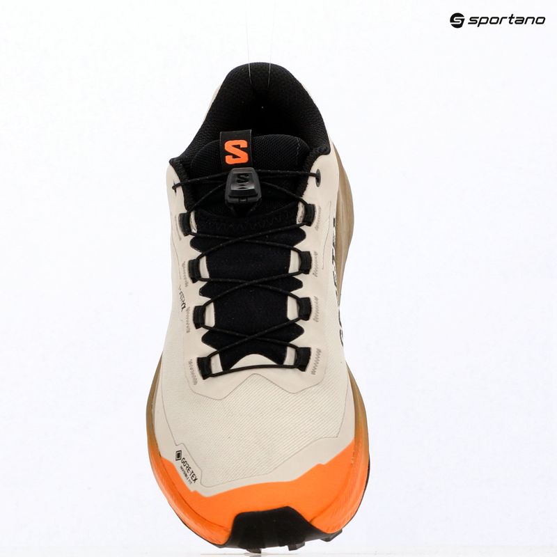Moteriški bėgimo batai Salomon Genesis 2 GTX rainy day/desert tan 15