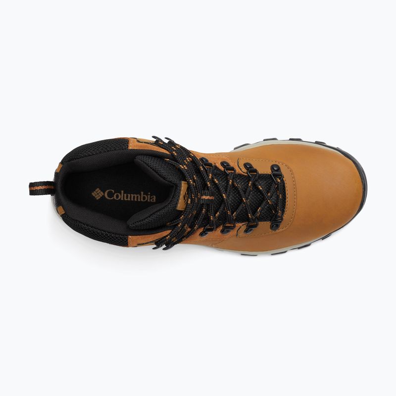 Vyriški žygio batai Columbia Newton Ridge Plus II Wp elk/black 15