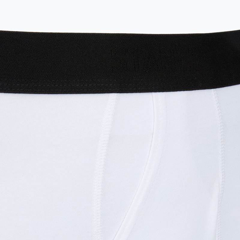 Vyriškos trumpikės Stance Standard 4IN white 3