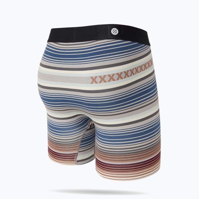 Vyriškos trumpikės Stance Curren Wholester multicolor 2