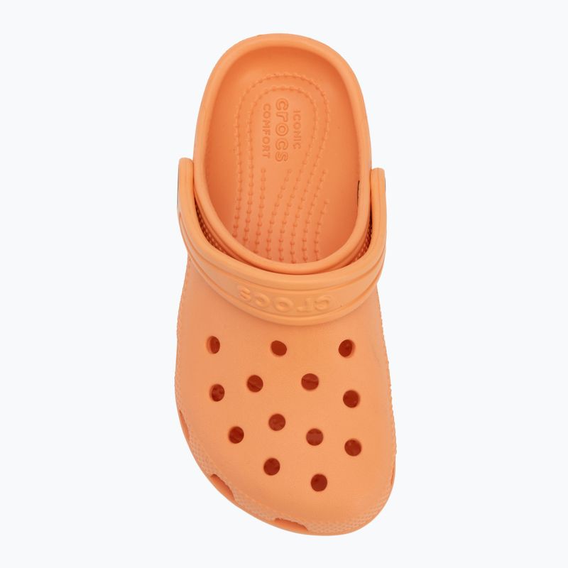 "Crocs Classic Clog Kids" papajos šlepetės 6