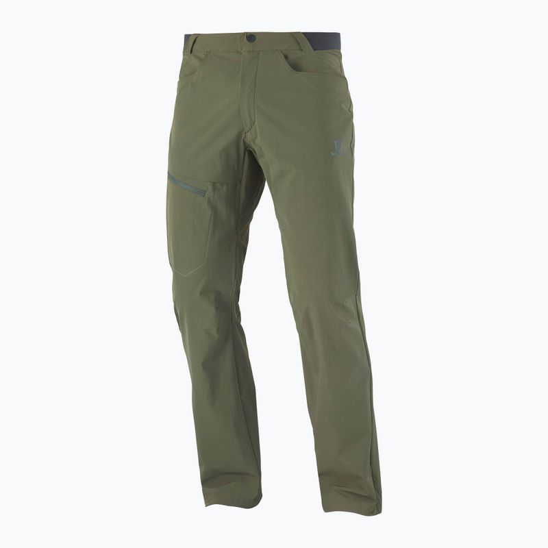 Vyriškos trekingo kelnės Salomon Wayfarer green LC1739200