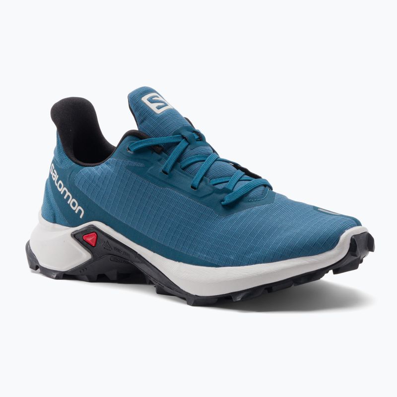 Salomon Alphacross 3 vyriški bėgimo bateliai bluesteel/lunar rock/black