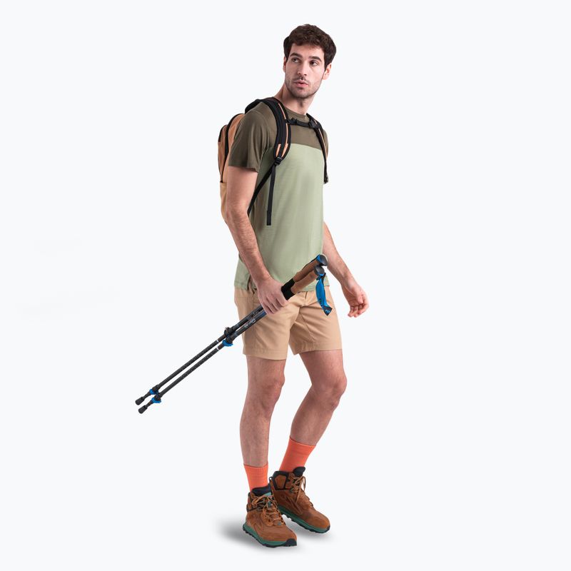 Vyriški žygio marškinėliai icebreaker Merino Cool-Lite Sphere III SS Tee Colour Block lichen/loden 6