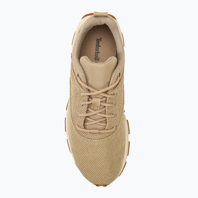 Vyriški batai Timberland Winsor Park Low Lace light beige knit 5