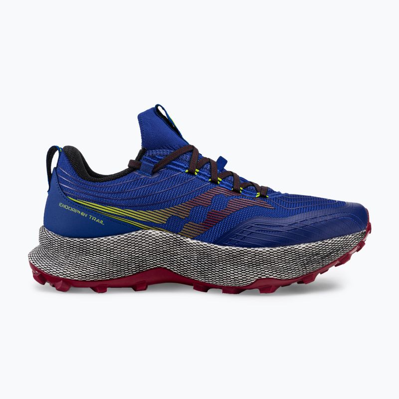 Vyriški bėgimo bateliai Saucony Endorphin Trial blue S20647 2