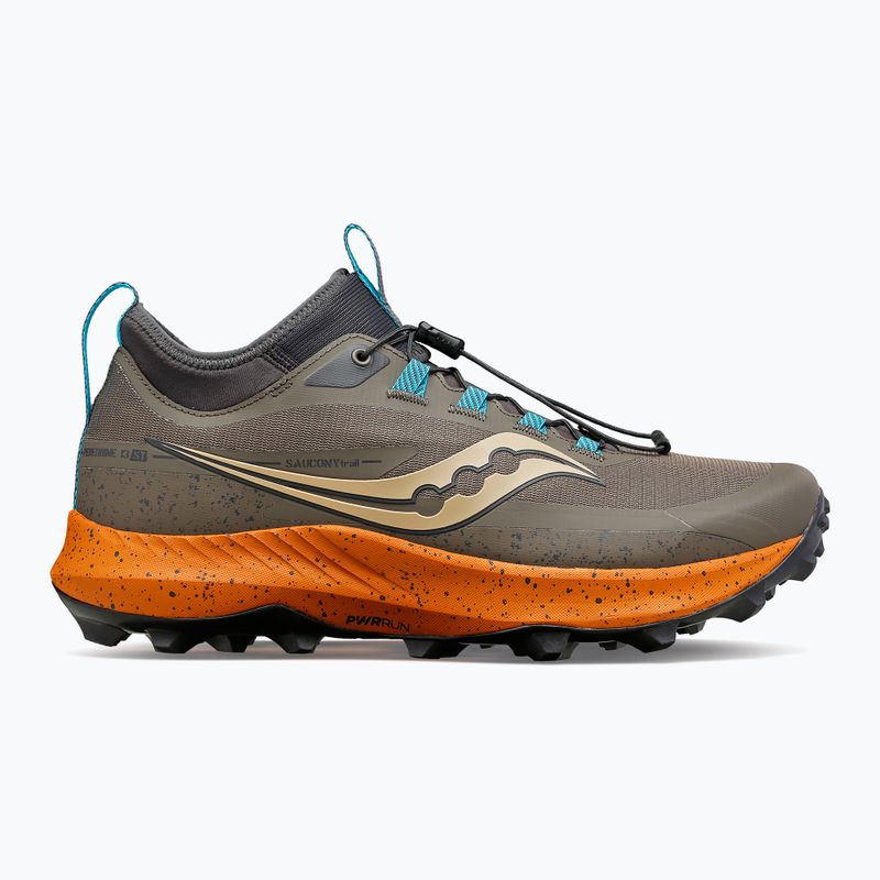 Vyriški bėgimo bateliai Saucony Peregrine 13 ST S20840-25 12