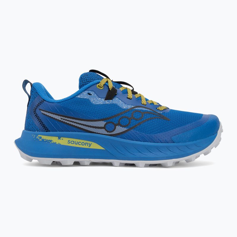 Vyriški bėgimo batai Saucony Peregine 15 skydiver / picle 2