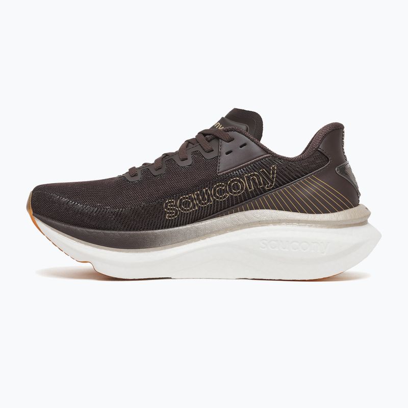 Moteriški bėgimo batai Saucony Endorphin Azura torte 2