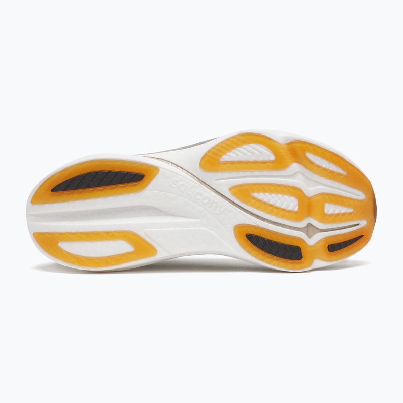 Moteriški bėgimo batai Saucony Endorphin Azura torte 5