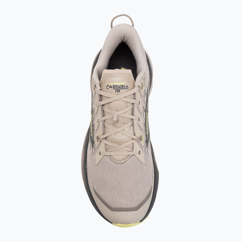 Vyriški bėgimo bateliai Brooks Cascadia 19 chateau/ebony/sunny lime 5