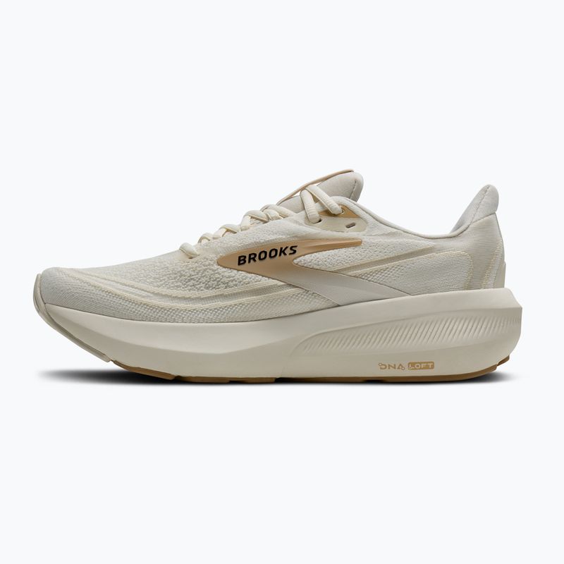 Moteriški bėgimo batai Brooks Revel 9 arctic wolf/coconut/black 3