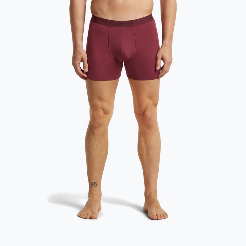 Vyriškos termoaktyvios trumpikės icebreaker Anatomica Boxers port 2