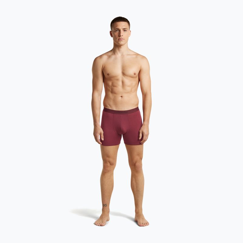 Vyriškos termoaktyvios trumpikės icebreaker Anatomica Boxers port 3