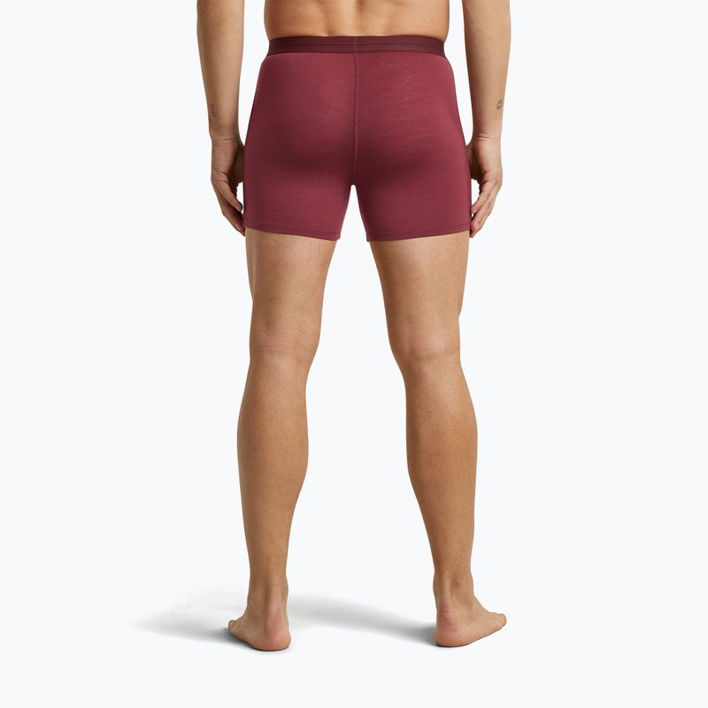 Vyriškos termoaktyvios trumpikės icebreaker Anatomica Boxers port 4
