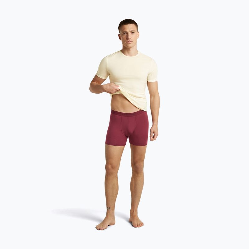 Vyriškos termoaktyvios trumpikės icebreaker Anatomica Boxers port 5