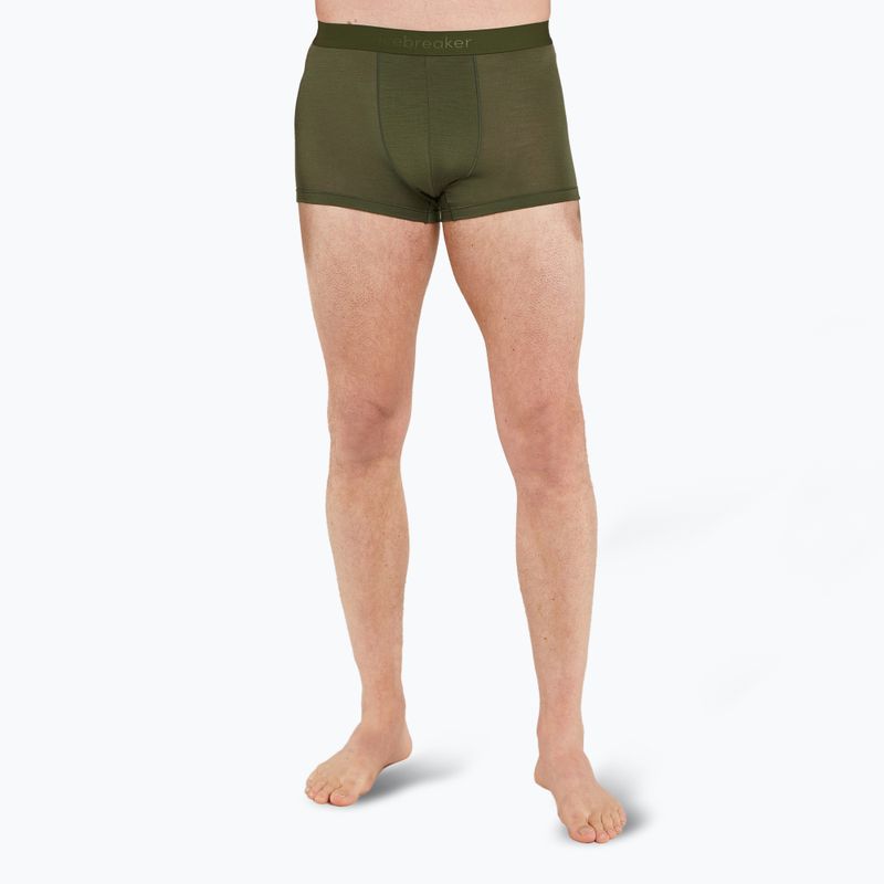 Vyriškos termoaktyvios trumpikės icebreaker Merino 125 Cool-Lite Anatomica Trunks loden 2