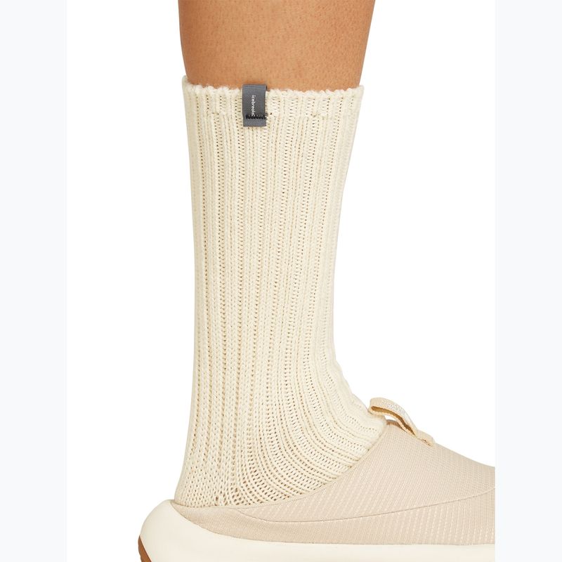 Slidinėjimo kojinės Icebreaker Merino Ski Lodge Crew undyed 4