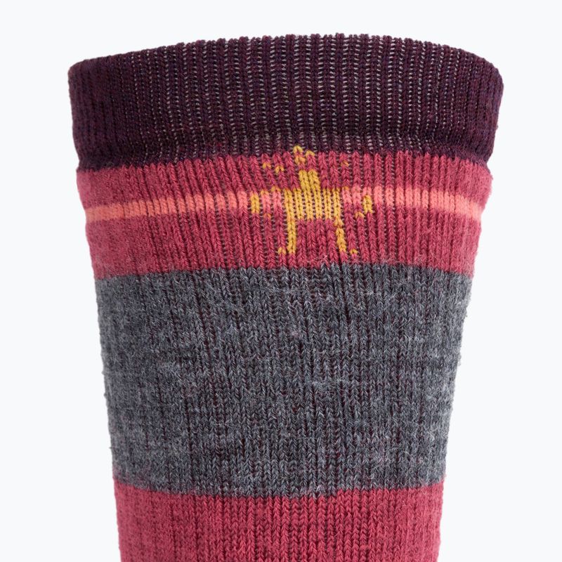 Smartwool Hike Full Cushion Saturnsphere Crew trekingo kojinės bordeaux SW001584591 3