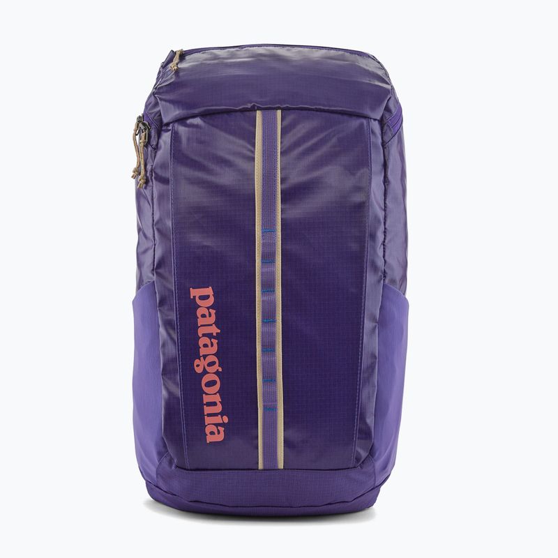 Patagonia Black Hole Pack 25 l turistinė kuprinė perennial purple 5