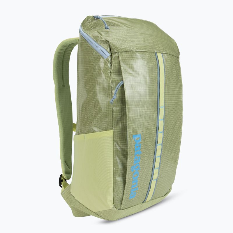Patagonia turistinė kuprinė Black Hole Pack 25 l friend green 2