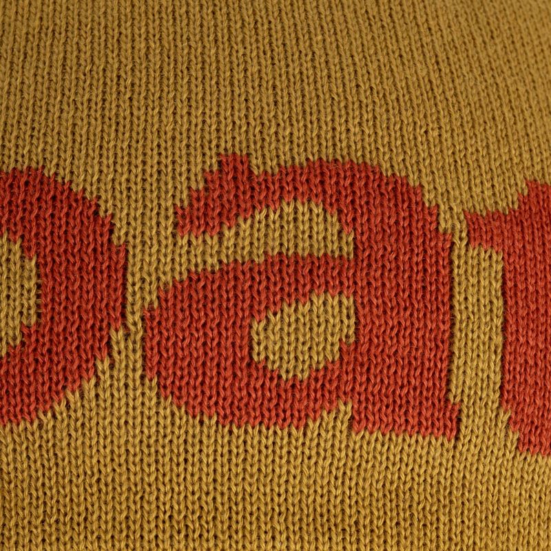 Patagonia Beanie logotipas belwe / cosmic gold trekking cap 4