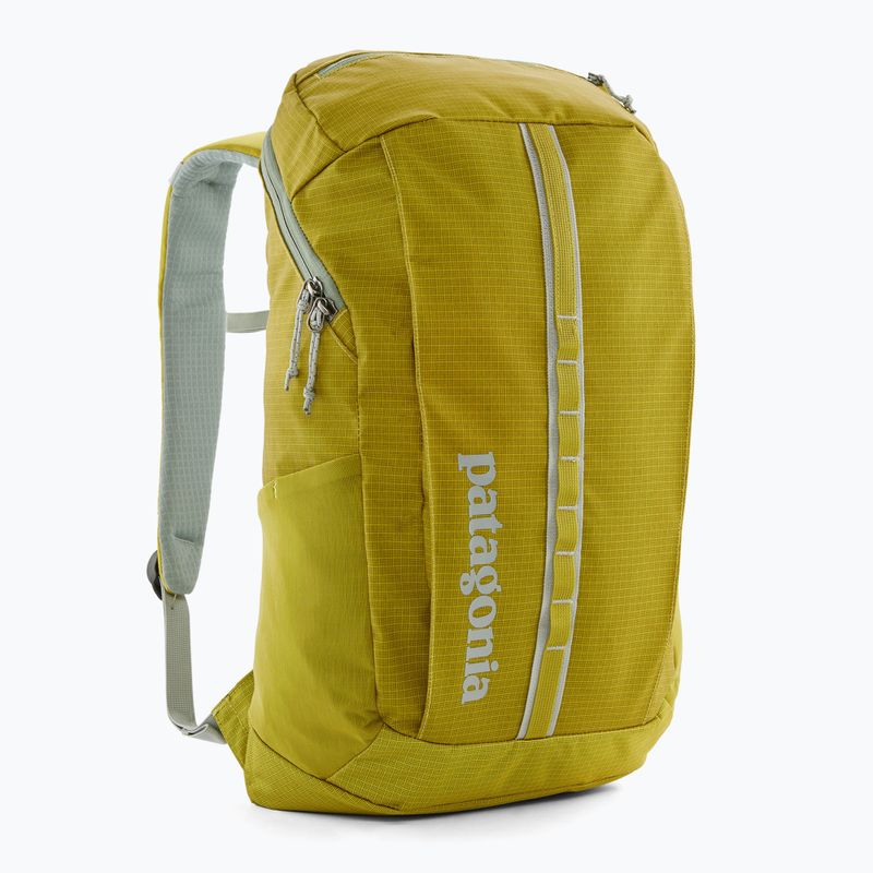 Turistinė kuprinė Patagonia Black Hole Pack 25 l shrub green 2