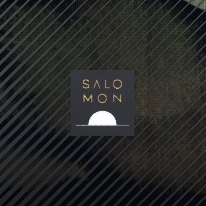 Vyriškos snieglentės Salomon Pulse black L47031600 5
