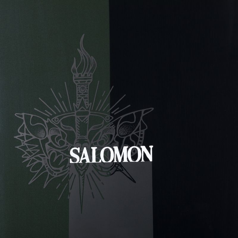 Vyriškos snieglentės Salomon Assassin PRO black L47017200 6