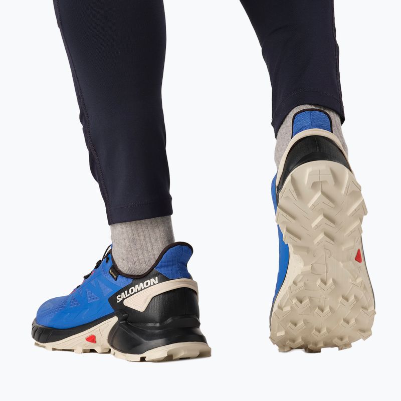 Vyriški bėgimo bateliai Salomon Supercross 4 GTX blue L41732000 4