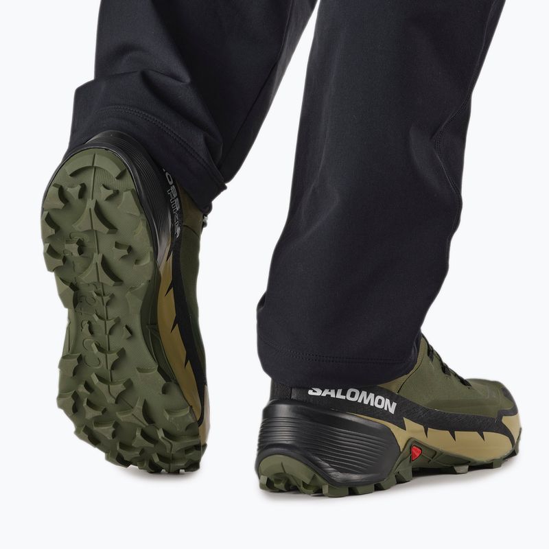 Vyriški sportiniai bateliai Salomon Cross Hike GTX 2 green L41730800 4