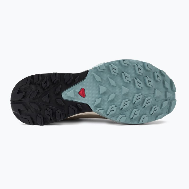 Moteriški trekingo batai Salomon Outrise GTX beige L47142700 5