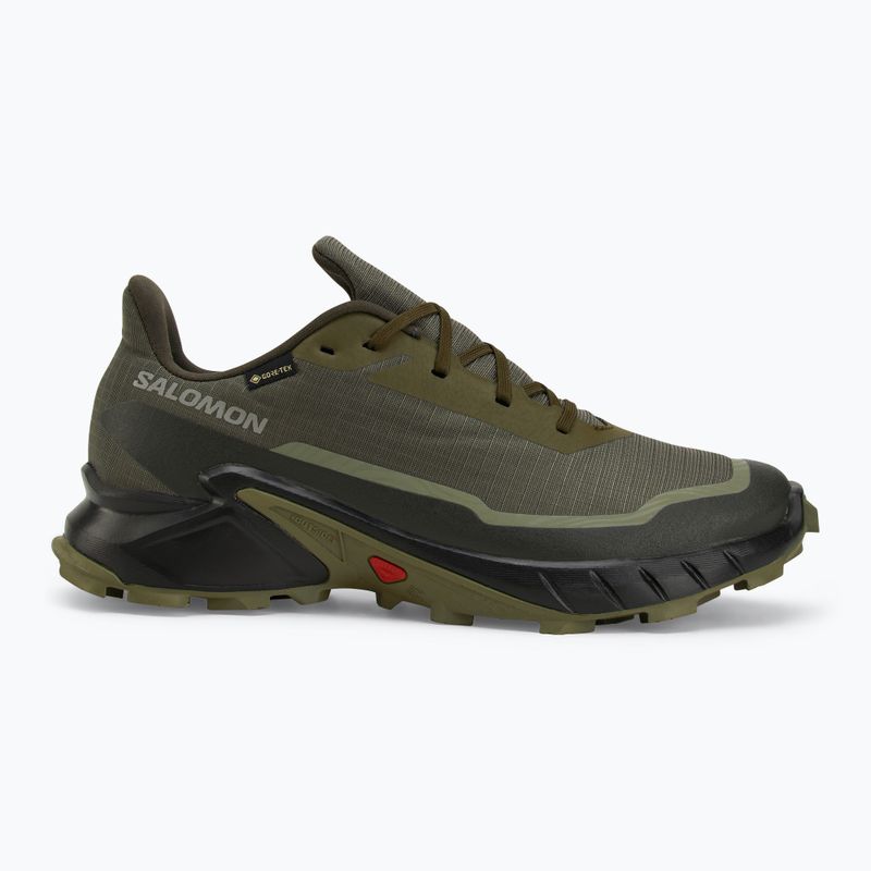 Vyriški bėgimo batai Salomon Alphacross 5 GTX olive night/black 2
