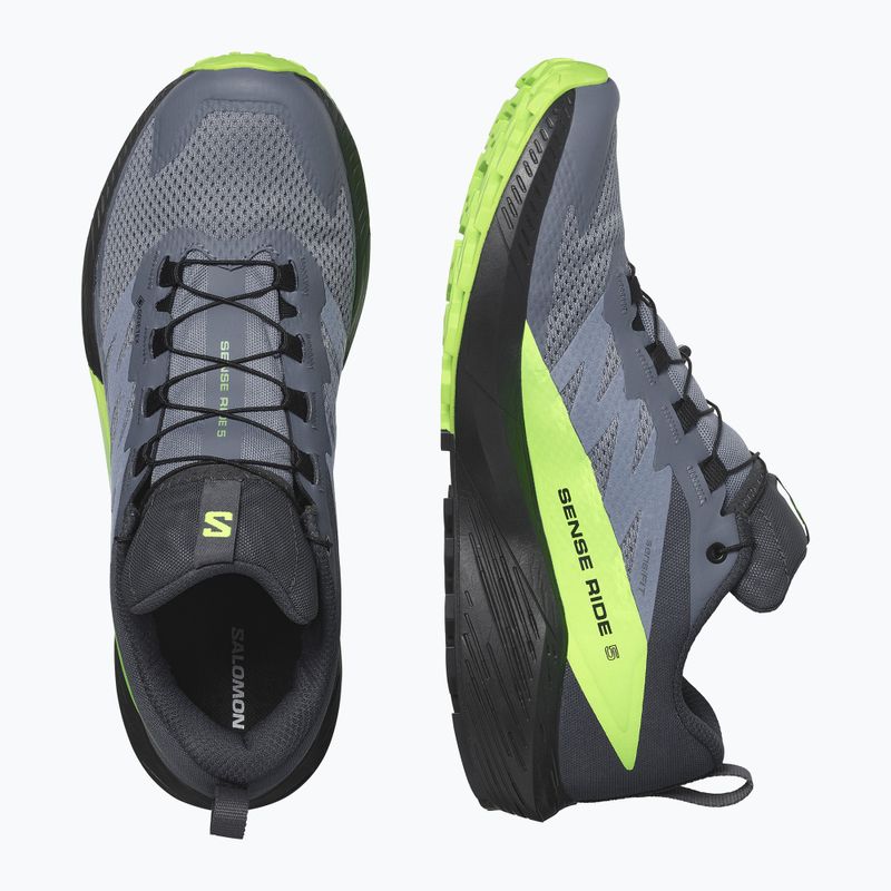 Vyriški bėgimo batai Salomon Sense Ride 5 GTX flint stone/black/green gecko 10