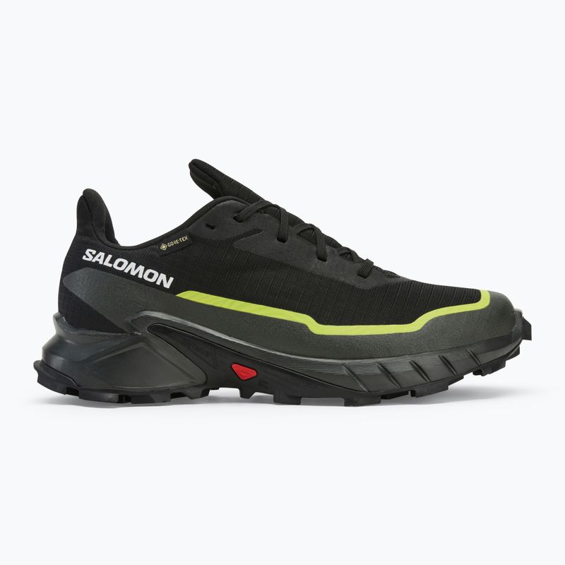 Vyriški bėgimo batai Salomon Alphacross 5 GTX black/peat/sulphur spring 2