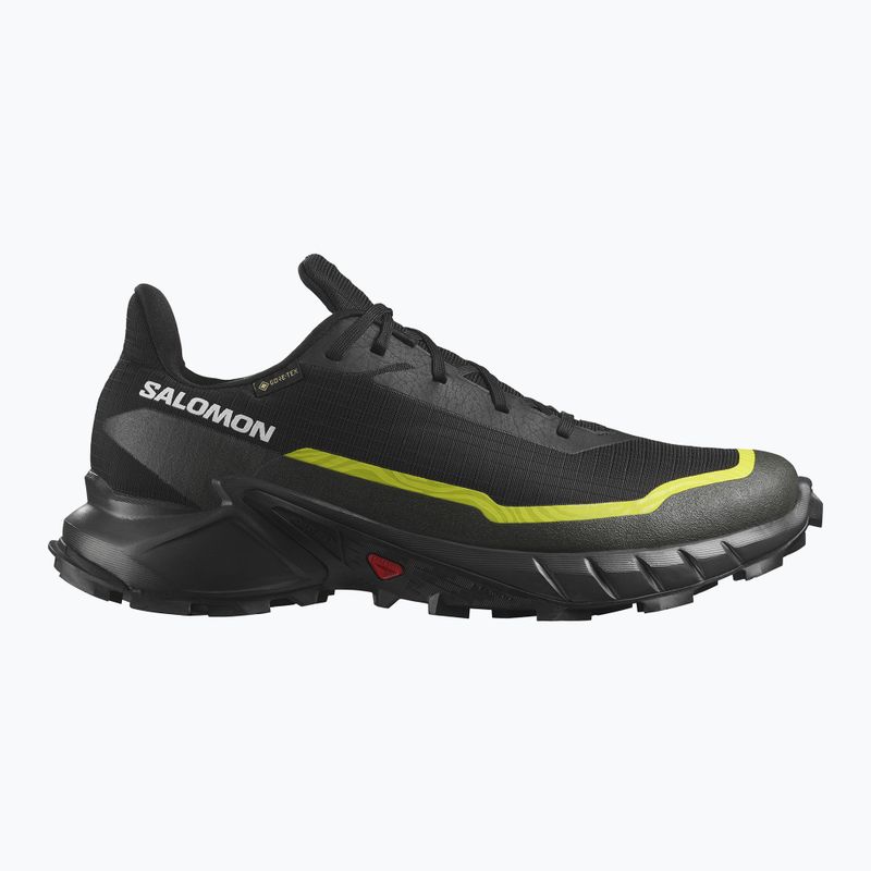 Vyriški bėgimo batai Salomon Alphacross 5 GTX black/peat/sulphur spring 9