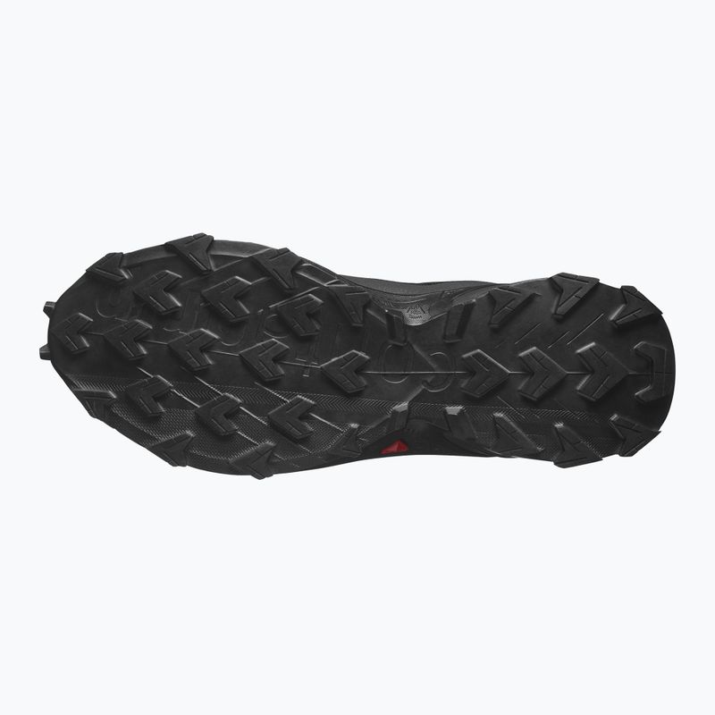 Vyriški bėgimo batai Salomon Alphacross 5 GTX black/peat/sulphur spring 10