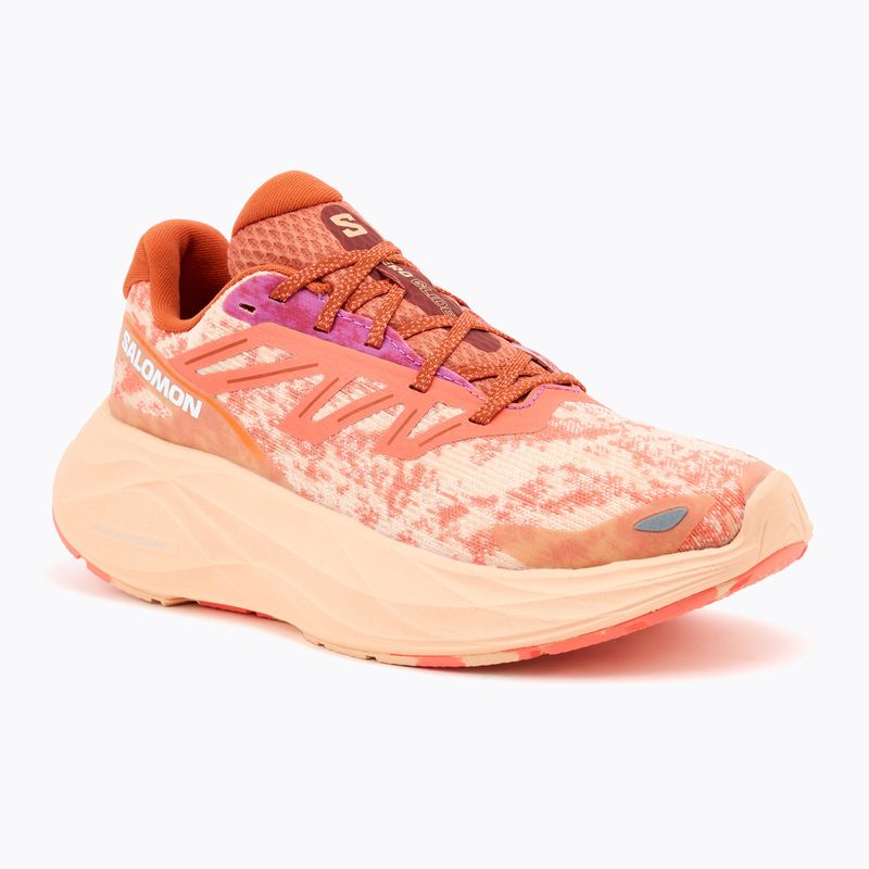 Moteriški bėgimo batai Salomon Aero Glide 2 spice route/peach quartz/fresh salmon