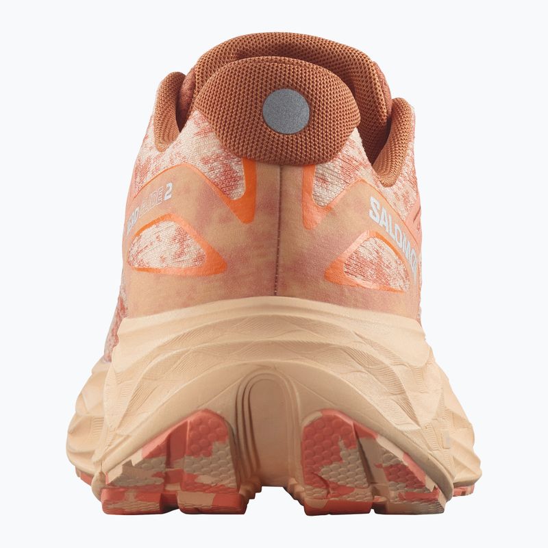 Moteriški bėgimo batai Salomon Aero Glide 2 spice route/peach quartz/fresh salmon 11