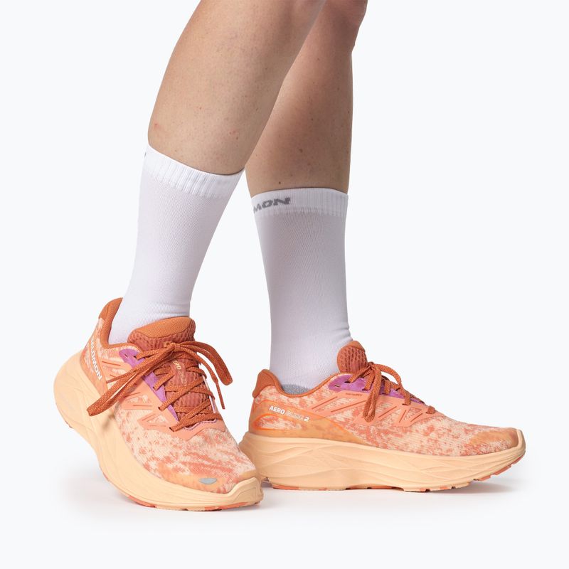 Moteriški bėgimo batai Salomon Aero Glide 2 spice route/peach quartz/fresh salmon 14