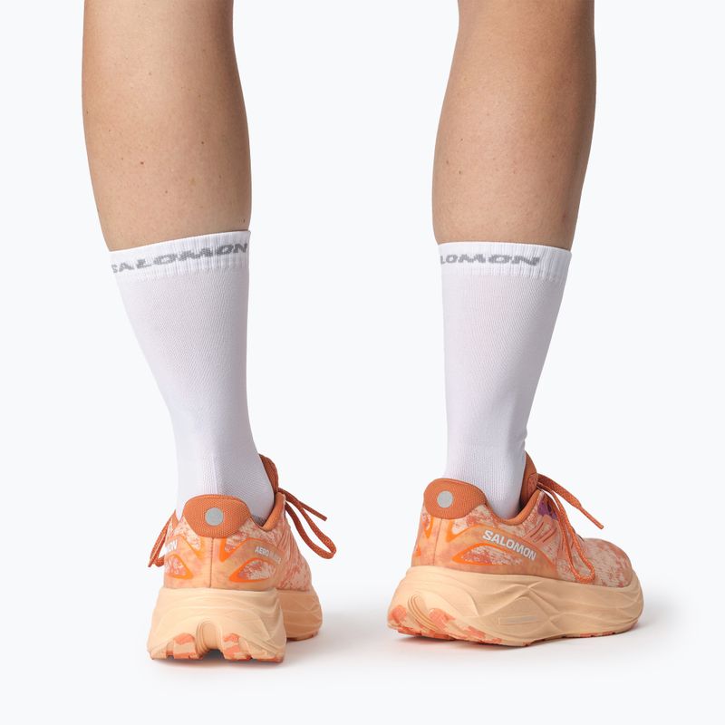 Moteriški bėgimo batai Salomon Aero Glide 2 spice route/peach quartz/fresh salmon 15