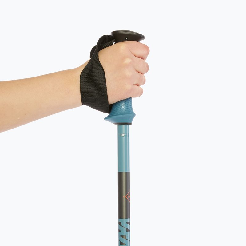 Slidinėjimo lazdos Salomon Polar Pro copen blue 6