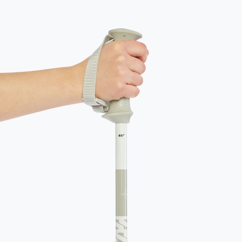 Slidinėjimo lazdos Salomon Polar Access white 6