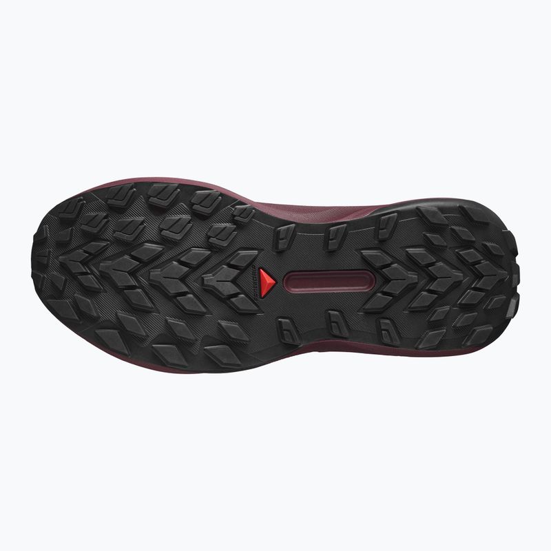 Moteriški bėgimo bateliai Salomon Genesis GTX rose taupe/black orchid/bouquet 12