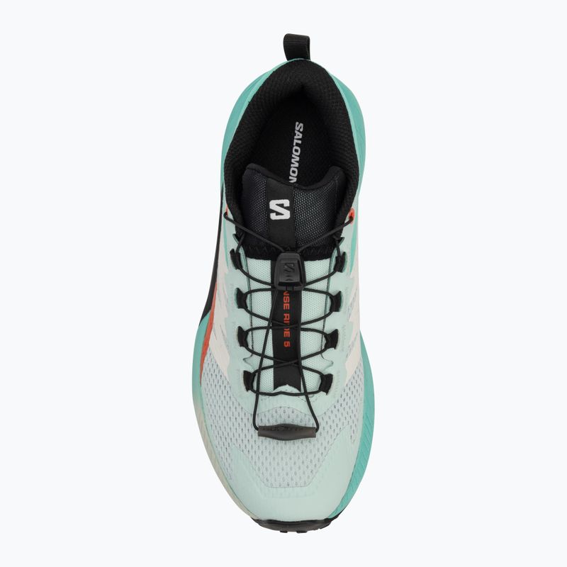 Moteriški bėgimo batai Salomon Sense Ride 5 bay/black/cherry tomato 5